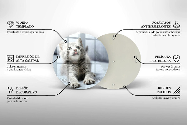 Skleněná deska do kuchyně Malé roztomilé kotě