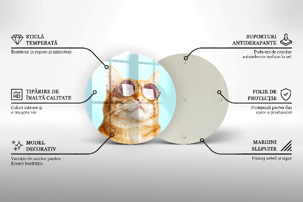 Skleněná deska do kuchyně Červená kočka s brýlemi