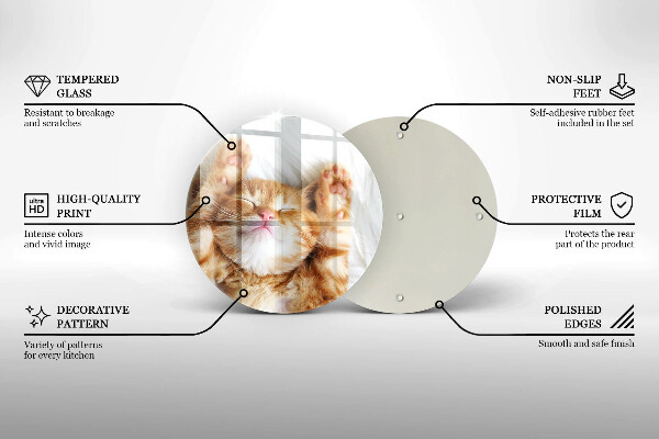 Skleněná deska do kuchyně Malé roztomilé kotě