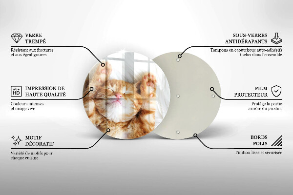 Skleněná deska do kuchyně Malé roztomilé kotě