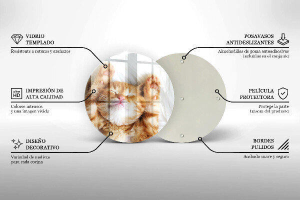 Skleněná deska do kuchyně Malé roztomilé kotě