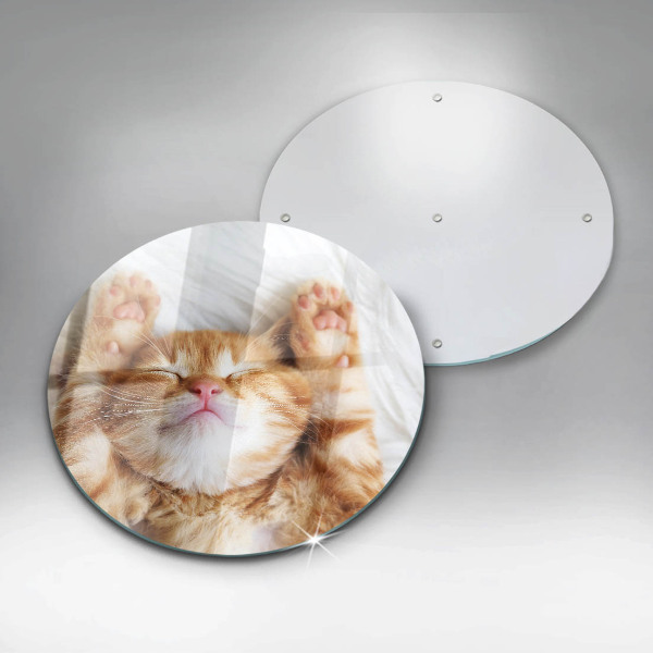 Skleněná deska do kuchyně Malé roztomilé kotě