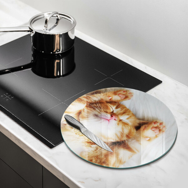 Skleněná deska do kuchyně Malé roztomilé kotě