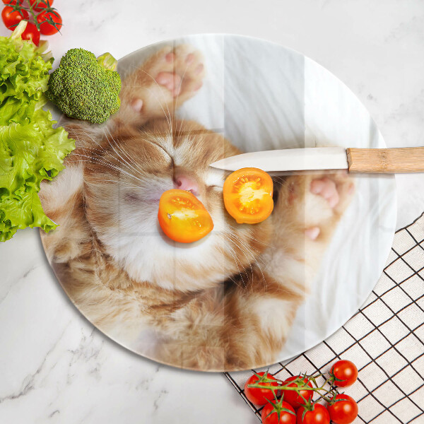 Skleněná deska do kuchyně Malé roztomilé kotě