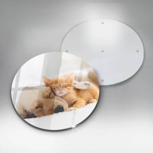 Skleněná deska do kuchyně Zvířata pes a kočka