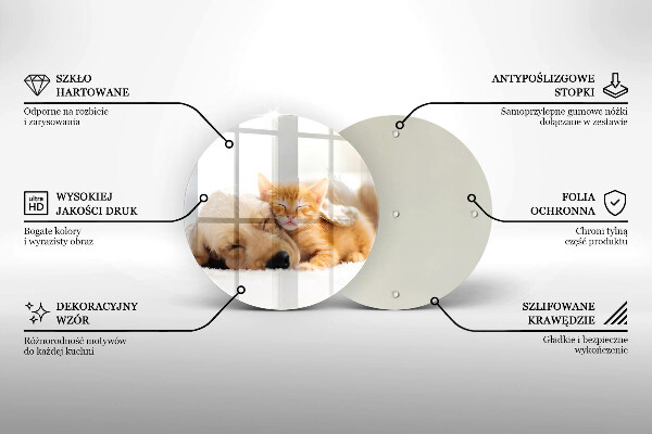 Skleněná deska do kuchyně Zvířata pes a kočka
