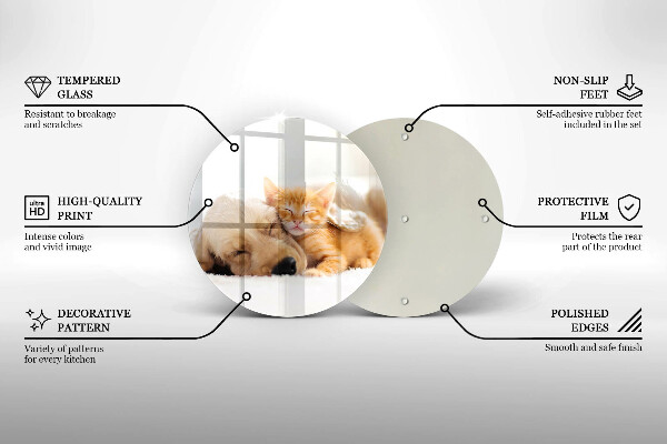 Skleněná deska do kuchyně Zvířata pes a kočka