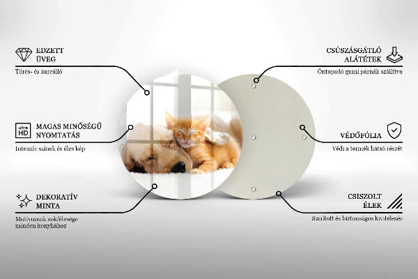 Skleněná deska do kuchyně Zvířata pes a kočka
