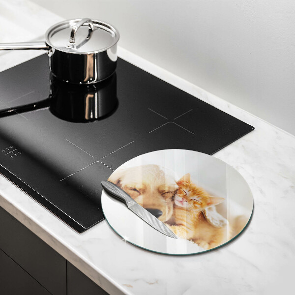 Skleněná deska do kuchyně Zvířata pes a kočka