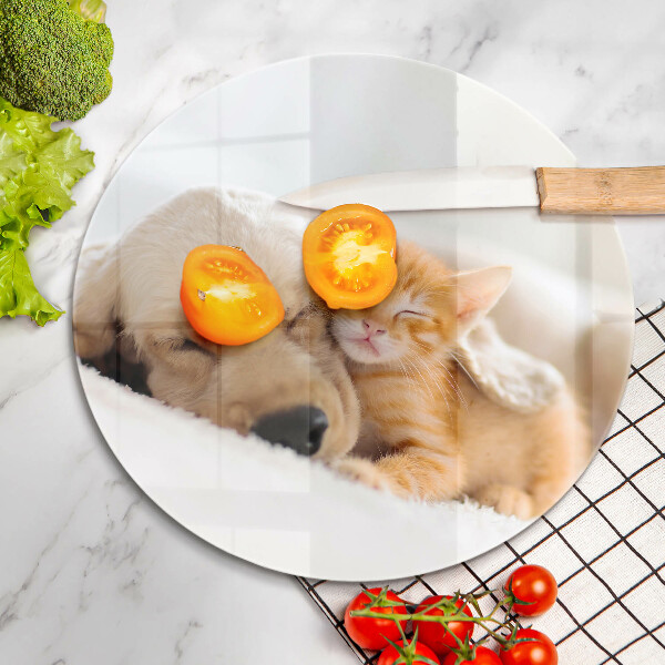 Skleněná deska do kuchyně Zvířata pes a kočka