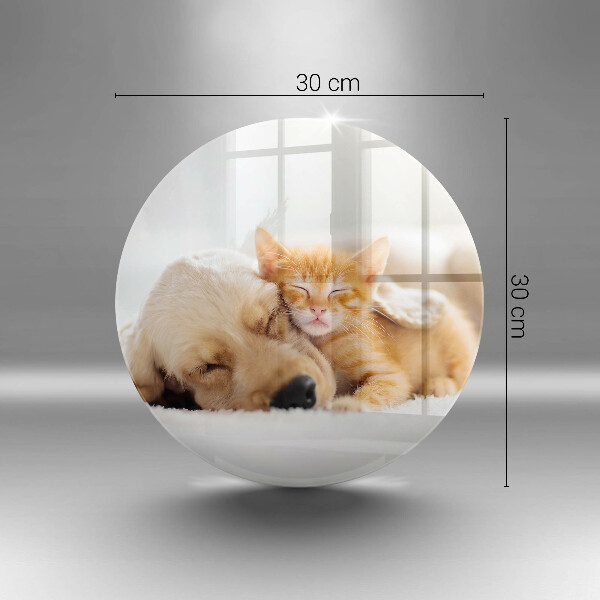 Skleněná deska do kuchyně Zvířata pes a kočka