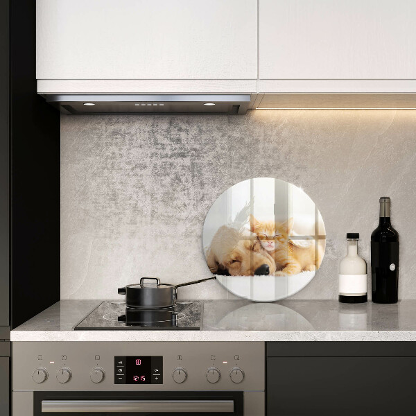 Skleněná deska do kuchyně Zvířata pes a kočka