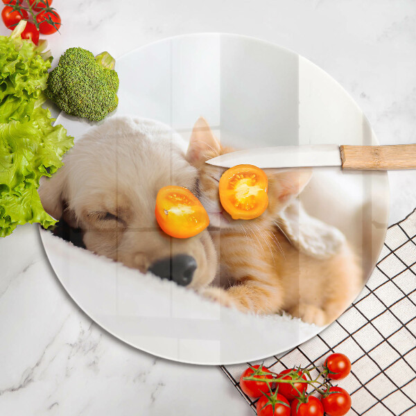 Skleněná deska do kuchyně Zvířata pes a kočka