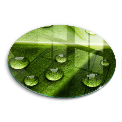 Skleněná deska do kuchyně Příroda rosa a list