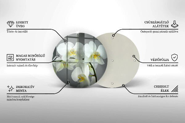 Skleněná deska do kuchyně Bílé květy orchidejí