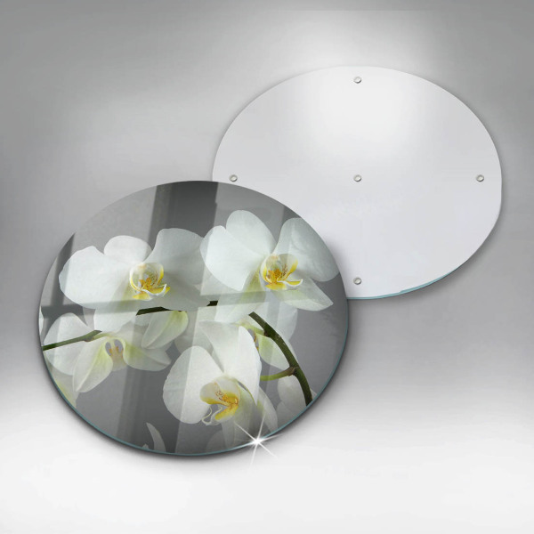 Skleněná deska do kuchyně Bílé květy orchidejí
