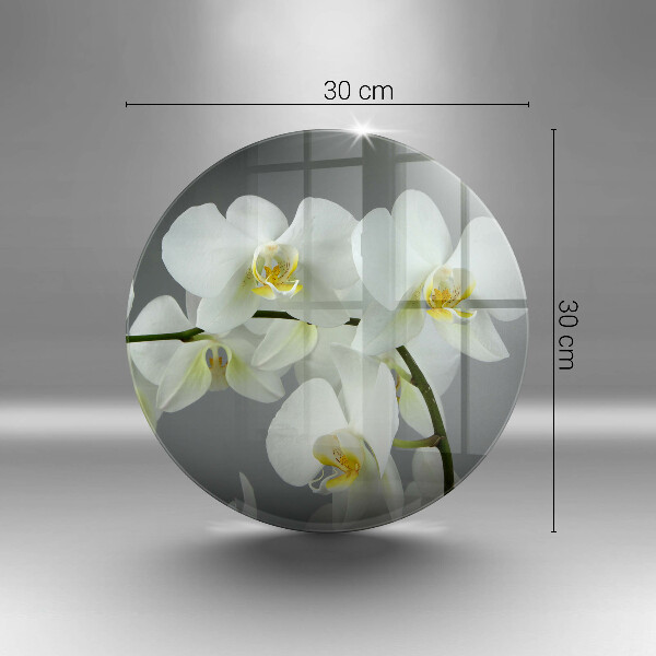 Skleněná deska do kuchyně Bílé květy orchidejí