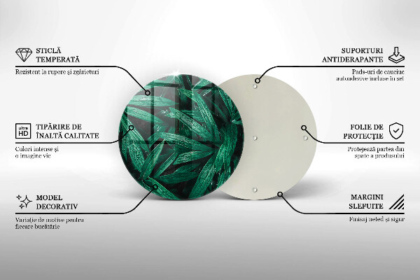 Skleněná deska do kuchyně Listy rostlin