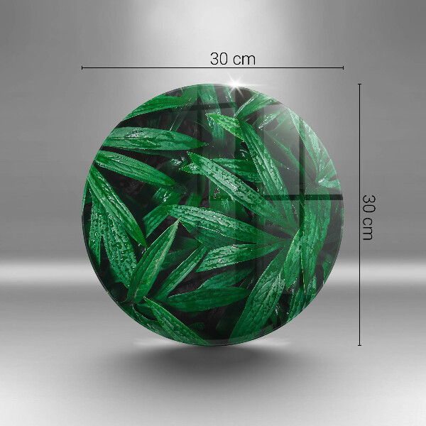 Skleněná deska do kuchyně Listy rostlin