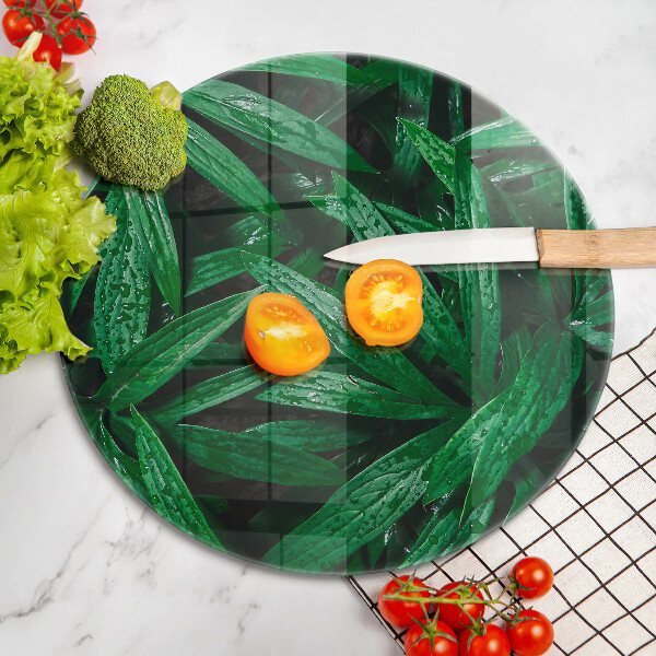 Skleněná deska do kuchyně Listy rostlin