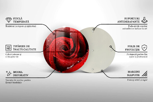 Skleněná deska do kuchyně Okvětní lístky růže