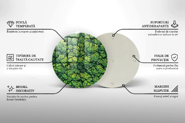 Skleněná deska do kuchyně Přírodní mechová rostlina