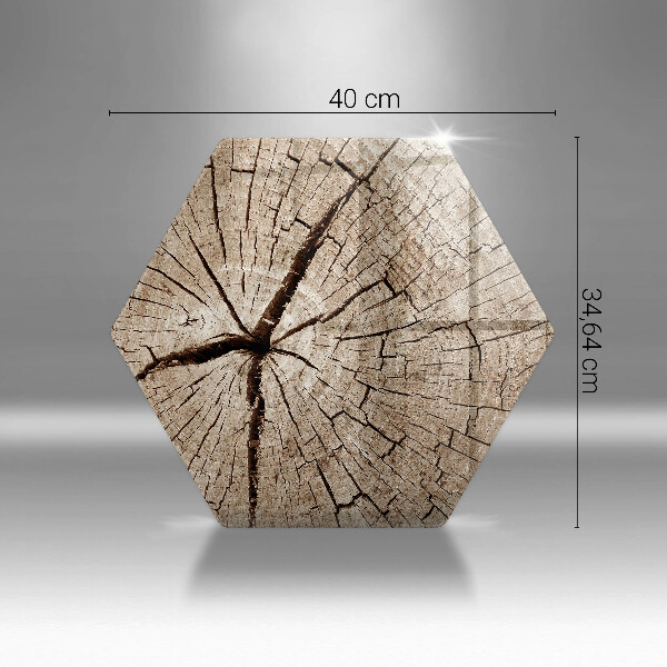 Skleněná deska do kuchyně Průřez stromem