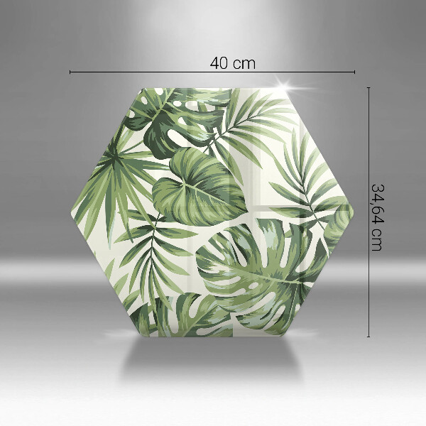 Skleněná deska do kuchyně Ilustrace monstera listy