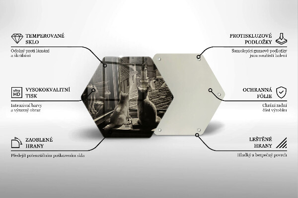 Skleněná deska do kuchyně Kočičí město a okno