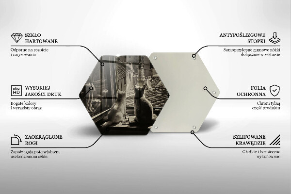 Skleněná deska do kuchyně Kočičí město a okno