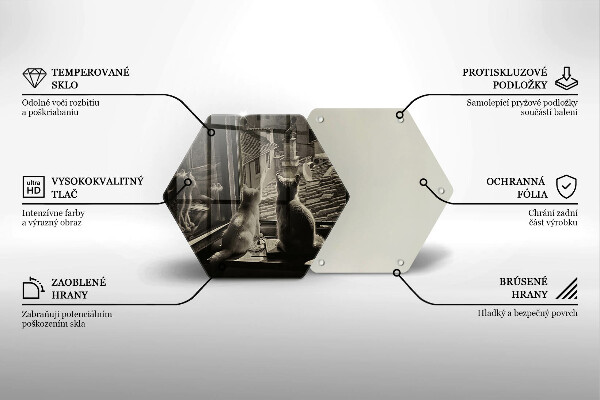 Skleněná deska do kuchyně Kočičí město a okno