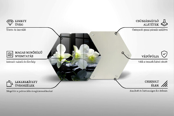 Skleněná deska do kuchyně Bílé květy v zenové vodě