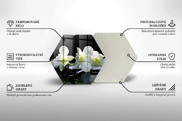 Skleněná deska do kuchyně Bílé květy v zenové vodě