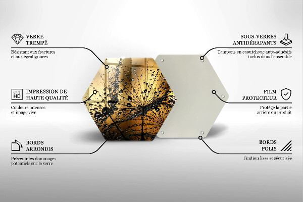 Skleněná deska do kuchyně Rosa a pampelišky