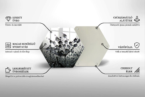 Skleněná deska do kuchyně Pampelišky a rosa