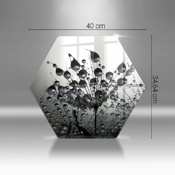 Skleněná deska do kuchyně Pampelišky a rosa