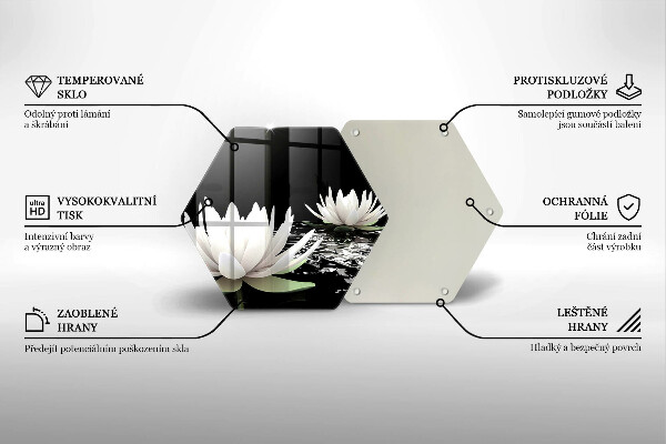 Skleněná deska do kuchyně Bílé lilie na vodě