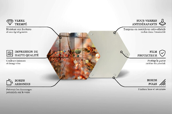 Skleněná deska do kuchyně Mokrá pampeliška