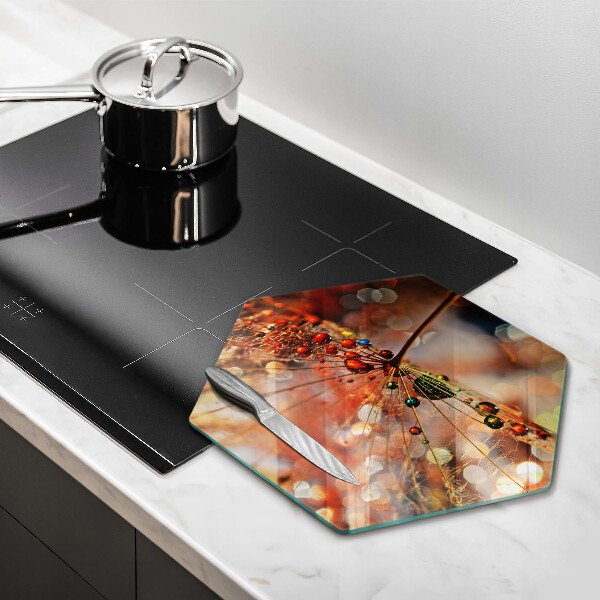 Skleněná deska do kuchyně Mokrá pampeliška