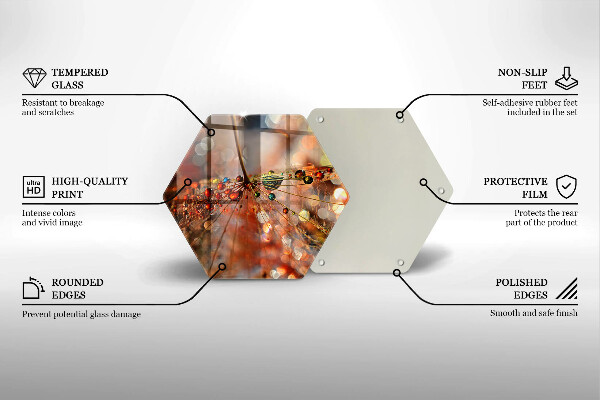 Skleněná deska do kuchyně Mokrá pampeliška