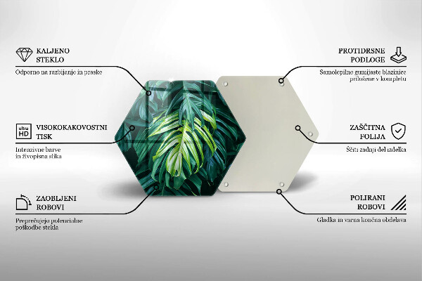 Skleněná deska do kuchyně Divoké monstera listy