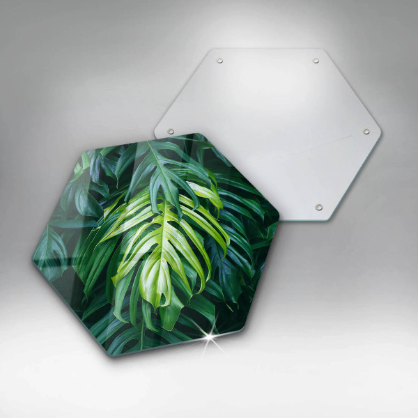 Skleněná deska do kuchyně Divoké monstera listy
