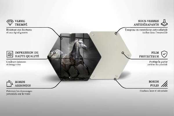 Skleněná deska do kuchyně Kůň cválající