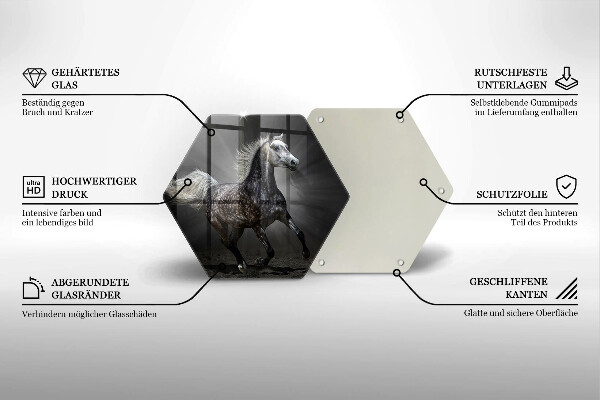 Skleněná deska do kuchyně Kůň cválající