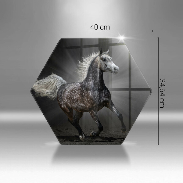 Skleněná deska do kuchyně Kůň cválající