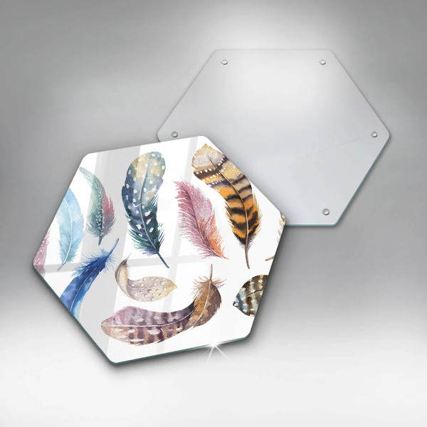 Skleněná deska do kuchyně Barevné ptačí peří