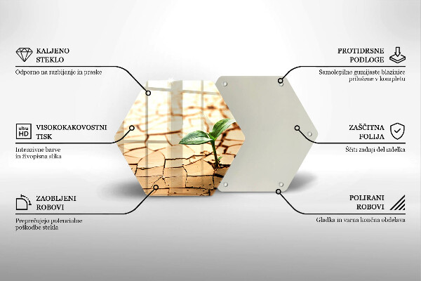 Skleněná deska do kuchyně Osamělá rostlina