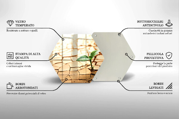 Skleněná deska do kuchyně Osamělá rostlina
