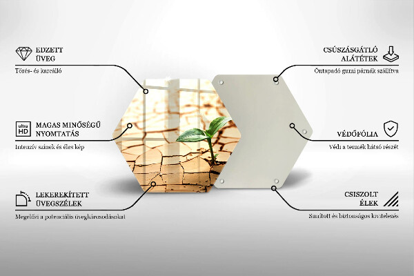 Skleněná deska do kuchyně Osamělá rostlina