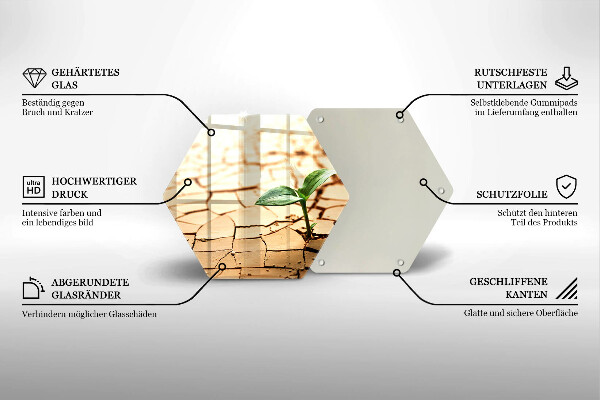 Skleněná deska do kuchyně Osamělá rostlina